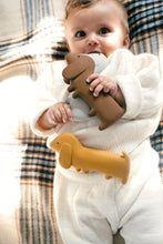 GOMMU Mini Dog Choco